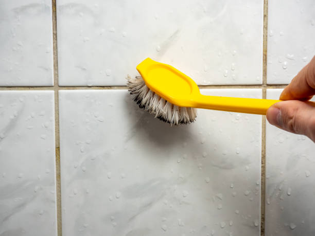 Best Fast Mold Removal  in Rio Vista, CA