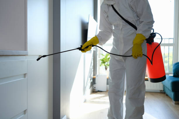 Best Commercial Mold Removal  in Rio Vista, CA