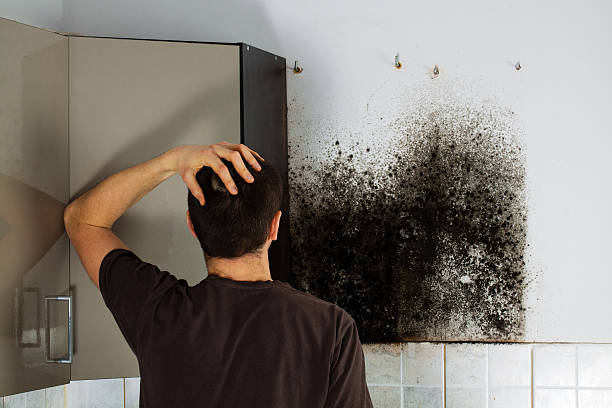 Best Mold Cleaning Services  in Rio Vista, CA